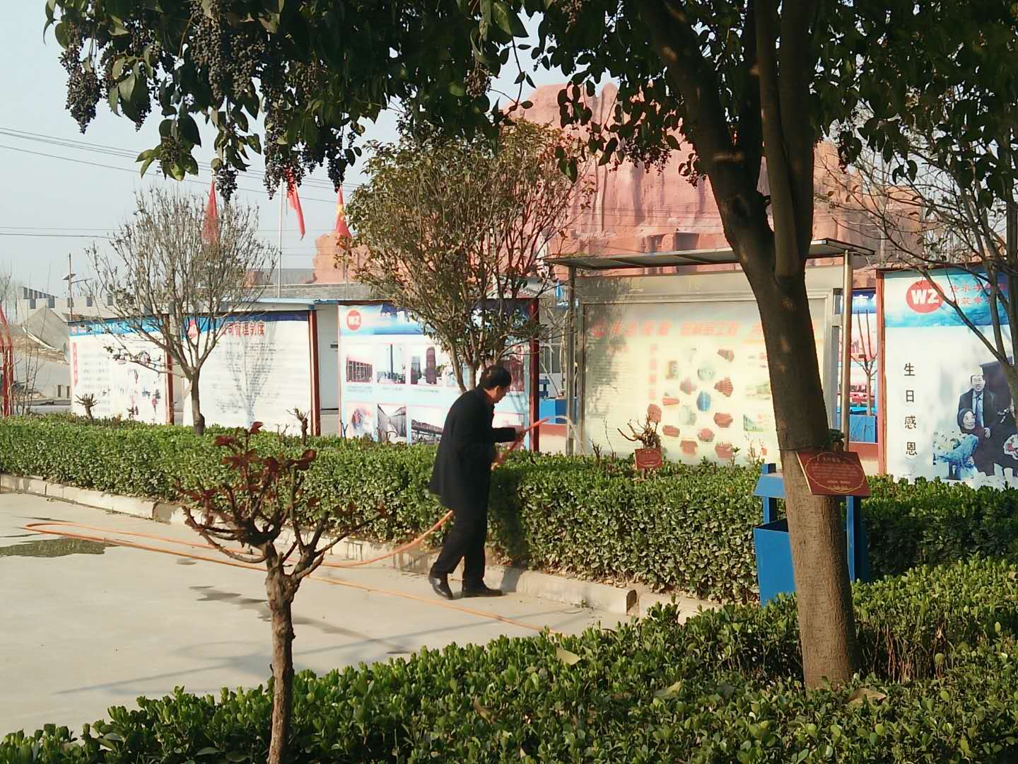 身先力行，偉志模板來董說：植樹就要護理好